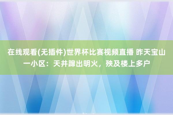 在线观看(无插件)世界杯比赛视频直播 昨天宝山一小区:天井蹿出明火,殃及楼上多户
