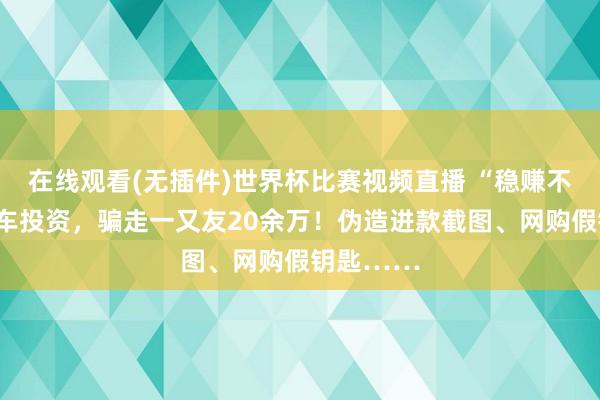 在线观看(无插件)世界杯比赛视频直播 “稳赚不赔”的豪车投资,骗走一又友20余万!伪造进款截图、网购假钥匙……
