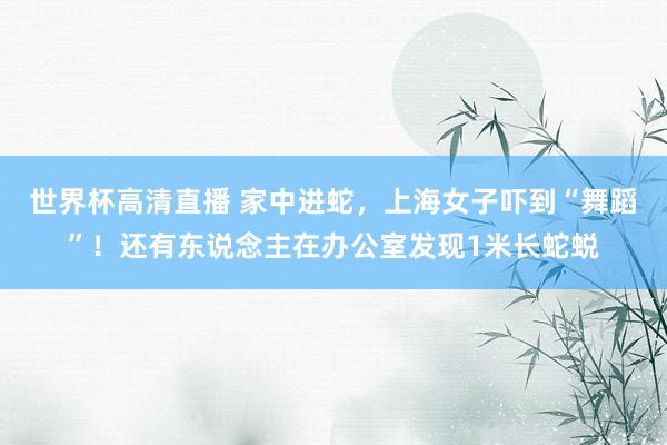世界杯高清直播 家中进蛇,上海女子吓到“舞蹈”!还有东说念主在办公室发现1米长蛇蜕