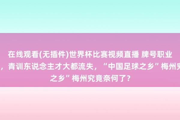 在线观看(无插件)世界杯比赛视频直播 牌号职业队中甲垫底,青训东说念主才大都流失,“中国足球之乡”梅州究竟奈何了?