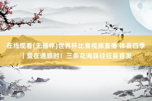 在线观看(无插件)世界杯比赛视频直播 体荟四季｜爱在通顺时！三条花海蹊径狂妄首发