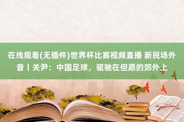 在线观看(无插件)世界杯比赛视频直播 新民场外音丨关尹：中国足球，驱驰在但愿的郊外上