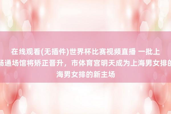 在线观看(无插件)世界杯比赛视频直播 一批上海大型畅通场馆将矫正晋升，市体育宫明天成为上海男女排的新主场