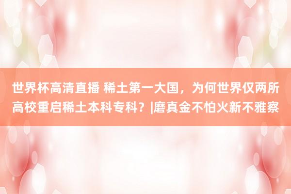 世界杯高清直播 稀土第一大国,为何世界仅两所高校重启稀土本科专科?|磨真金不怕火新不雅察