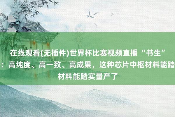 在线观看(无插件)世界杯比赛视频直播 “书生”跨界造胶:高纯度、高一致、高成果,这种芯片中枢材料能踏实量产了
