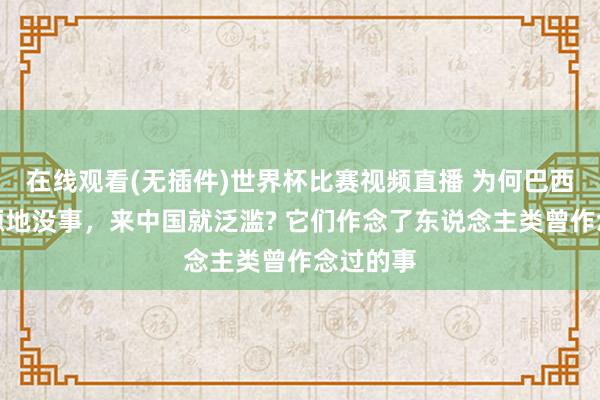 在线观看(无插件)世界杯比赛视频直播 为何巴西龟在发源地没事,来中国就泛滥? 它们作念了东说念主类曾作念过的事