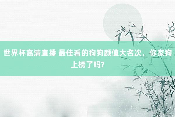 世界杯高清直播 最佳看的狗狗颜值大名次,你家狗上榜了吗?