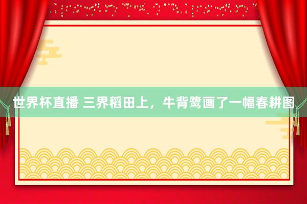 世界杯直播 三界稻田上，牛背鹭画了一幅春耕图