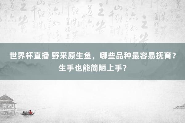 世界杯直播 野采原生鱼,哪些品种最容易抚育?生手也能简陋上手?