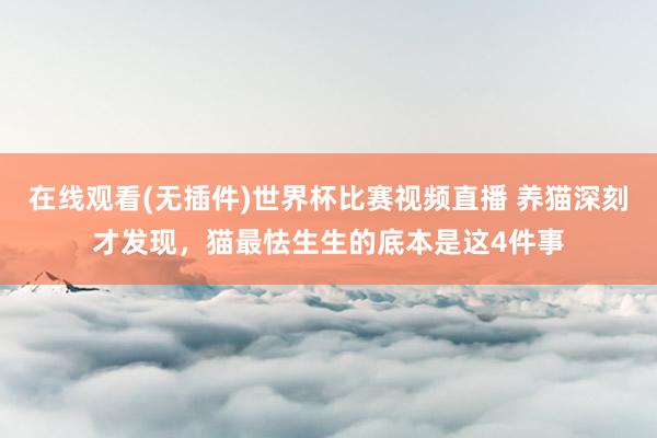 在线观看(无插件)世界杯比赛视频直播 养猫深刻才发现,猫最怯生生的底本是这4件事