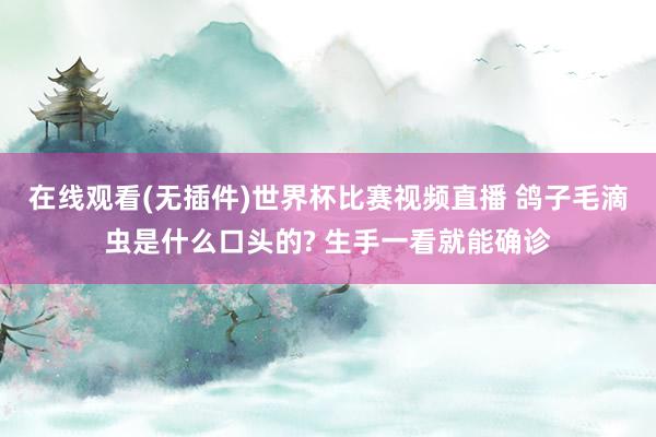 在线观看(无插件)世界杯比赛视频直播 鸽子毛滴虫是什么口头的? 生手一看就能确诊