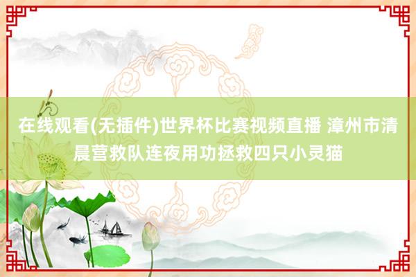 在线观看(无插件)世界杯比赛视频直播 漳州市清晨营救队连夜用功拯救四只小灵猫