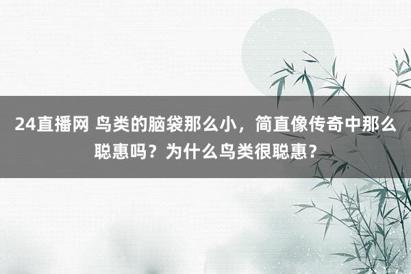 24直播网 鸟类的脑袋那么小,简直像传奇中那么聪惠吗?为什么鸟类很聪惠?