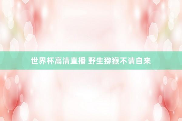 世界杯高清直播 野生猕猴不请自来