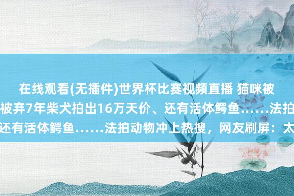 在线观看(无插件)世界杯比赛视频直播 猫咪被拍卖替主东谈主还债、被弃7年柴犬拍出16万天价、还有活体鳄鱼……法拍动物冲上热搜,网友刷屏:太心酸
