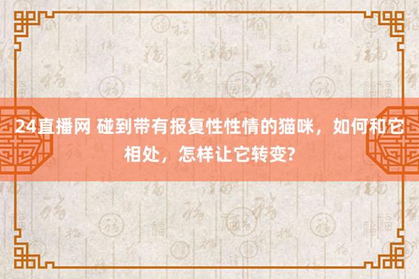 24直播网 碰到带有报复性性情的猫咪,如何和它相处,怎样让它转变?