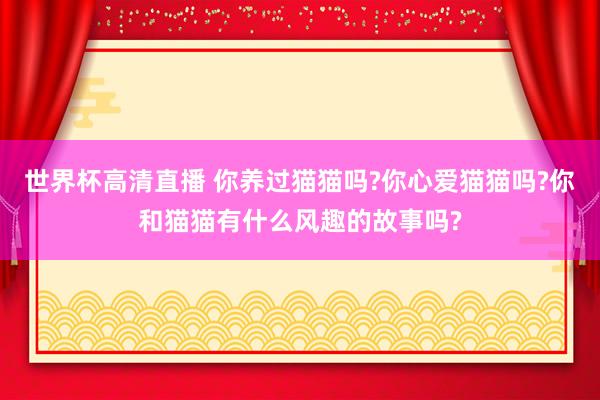 世界杯高清直播 你养过猫猫吗?你心爱猫猫吗?你和猫猫有什么风趣的故事吗?