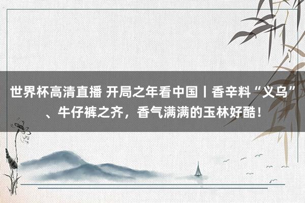 世界杯高清直播 开局之年看中国丨香辛料“义乌”、牛仔裤之齐，香气满满的玉林好酷！