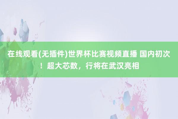 在线观看(无插件)世界杯比赛视频直播 国内初次!超大芯数,行将在武汉亮相