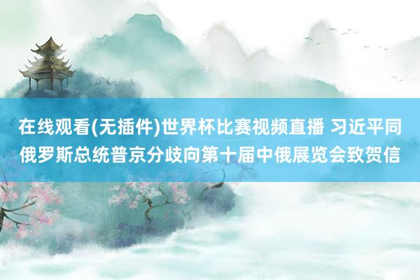 在线观看(无插件)世界杯比赛视频直播 习近平同俄罗斯总统普京分歧向第十届中俄展览会致贺信