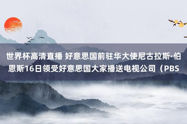 世界杯高清直播 好意思国前驻华大使尼古拉斯·伯恩斯16日领受好意思国大家播送电视公司(PBS