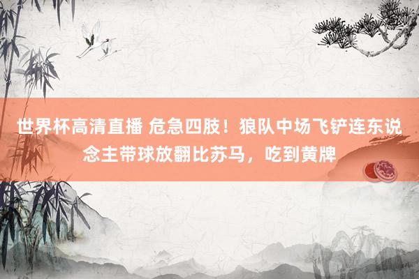 世界杯高清直播 危急四肢！狼队中场飞铲连东说念主带球放翻比苏马，吃到黄牌