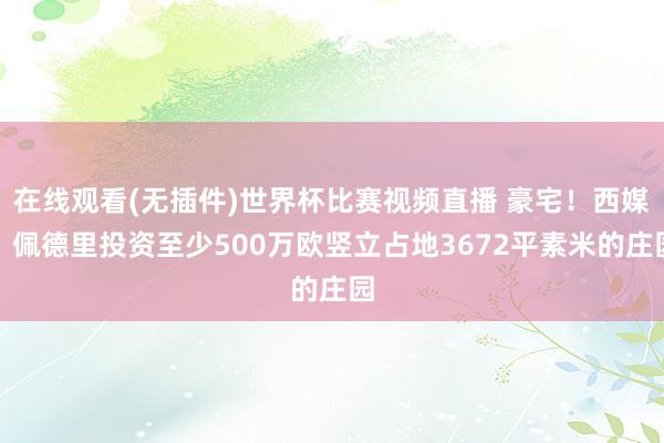 在线观看(无插件)世界杯比赛视频直播 豪宅!西媒:佩德里投资至少500万欧竖立占地3672平素米的庄园