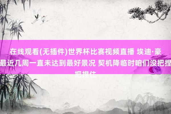 在线观看(无插件)世界杯比赛视频直播 埃迪·豪:最近几周一直未达到最好景况 契机降临时咱们没把捏住