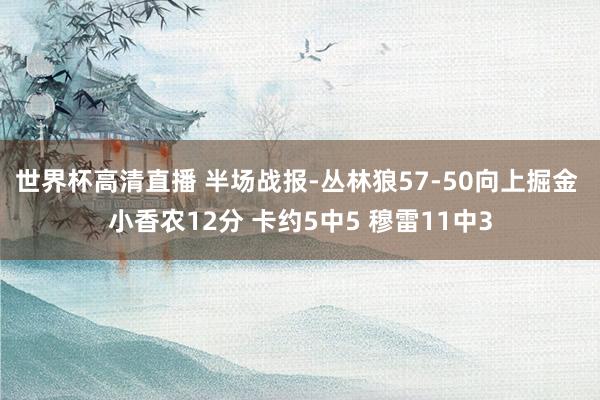世界杯高清直播 半场战报-丛林狼57-50向上掘金 小香农12分 卡约5中5 穆雷11中3
