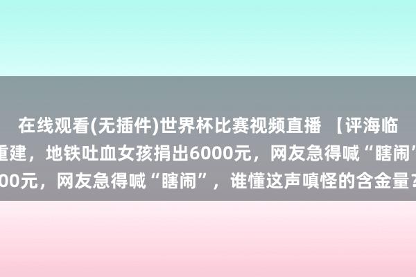 在线观看(无插件)世界杯比赛视频直播 【评海临风】湖南石门水患助学重建，地铁吐血女孩捐出6000元，网友急得喊“瞎闹”，谁懂这声嗔怪的含金量？