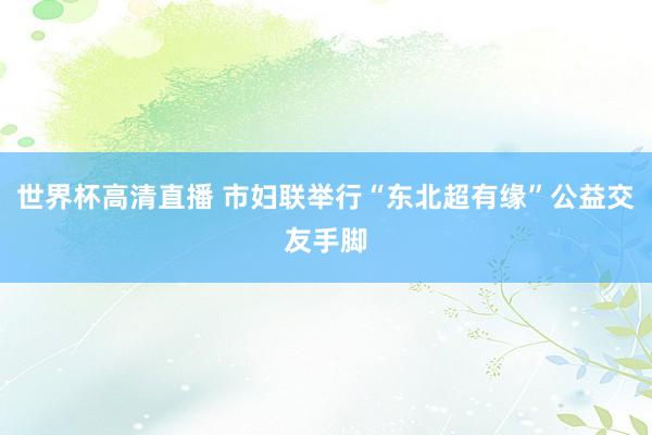 世界杯高清直播 市妇联举行“东北超有缘”公益交友手脚