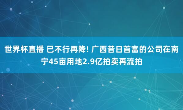 世界杯直播 已不行再降! 广西昔日首富的公司在南宁45亩用地2.9亿拍卖再流拍