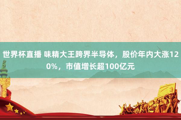 世界杯直播 味精大王跨界半导体,股价年内大涨120%,市值增长超100亿元