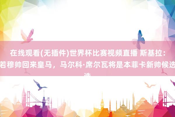在线观看(无插件)世界杯比赛视频直播 斯基拉：若穆帅回来皇马，马尔科·席尔瓦将是本菲卡新帅候选