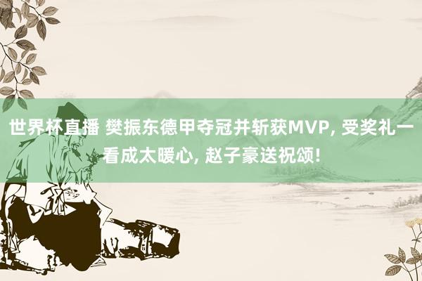 世界杯直播 樊振东德甲夺冠并斩获MVP, 受奖礼一看成太暖心, 赵子豪送祝颂!