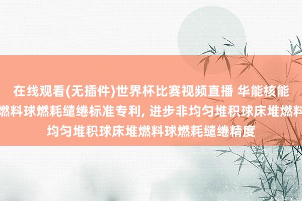 在线观看(无插件)世界杯比赛视频直播 华能核能时代参议院苦求燃料球燃耗缱绻标准专利， 进步非均匀堆积球床堆燃料球燃耗缱绻精度