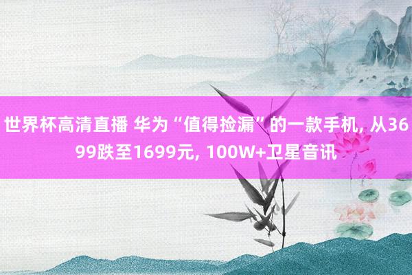 世界杯高清直播 华为“值得捡漏”的一款手机, 从3699跌至1699元, 100W+卫星音讯