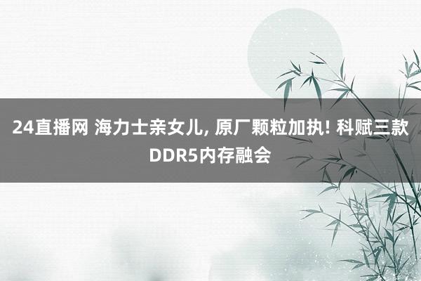 24直播网 海力士亲女儿, 原厂颗粒加执! 科赋三款DDR5内存融会