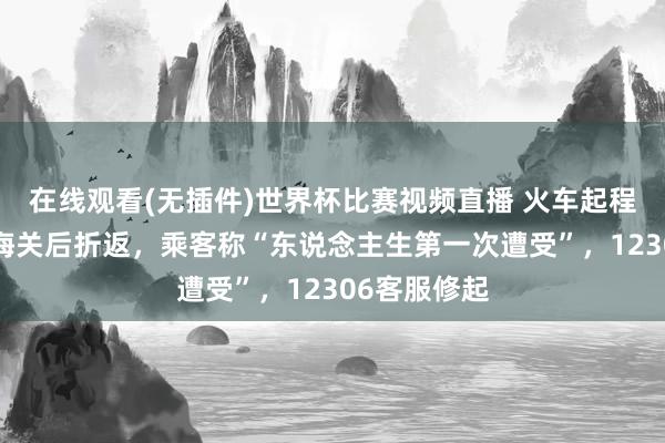 在线观看(无插件)世界杯比赛视频直播 火车起程7小时到山海关后折返,乘客称“东说念主生第一次遭受”,12306客服修起