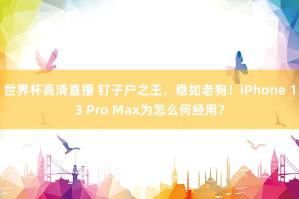 世界杯高清直播 钉子户之王,稳如老狗!iPhone 13 Pro Max为怎么何经用?