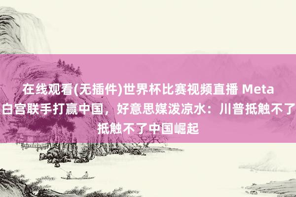 在线观看(无插件)世界杯比赛视频直播 Meta放话,跟白宫联手打赢中国,好意思媒泼凉水:川普抵触不了中国崛起
