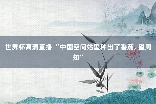 世界杯高清直播 “中国空间站里种出了番茄, 望周知”