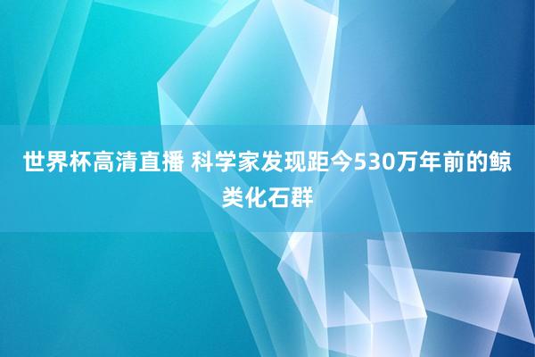 世界杯高清直播 科学家发现距今530万年前的鲸类化石群