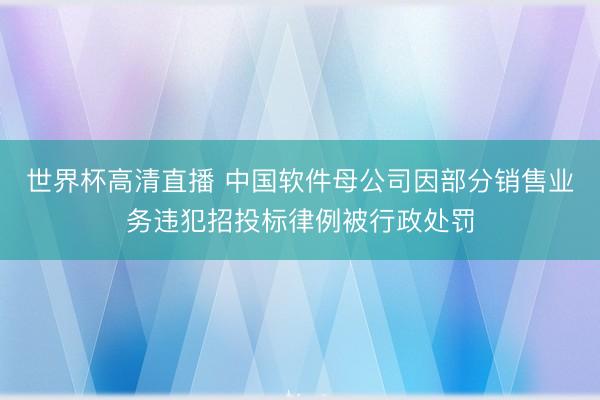 世界杯高清直播 中国软件母公司因部分销售业务违犯招投标律例被行政处罚