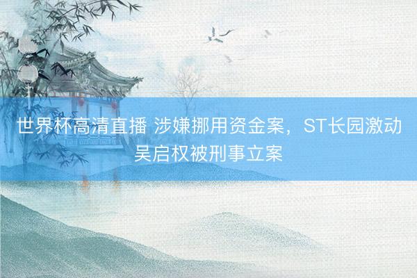 世界杯高清直播 涉嫌挪用资金案,ST长园激动吴启权被刑事立案