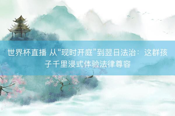 世界杯直播 从“现时开庭”到翌日法治:这群孩子千里浸式体验法律尊容