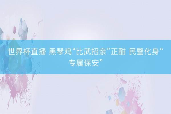 世界杯直播 黑琴鸡“比武招亲”正酣 民警化身“专属保安”