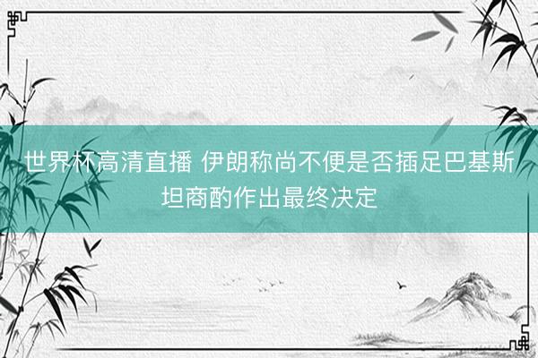 世界杯高清直播 伊朗称尚不便是否插足巴基斯坦商酌作出最终决定