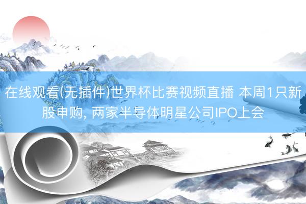 在线观看(无插件)世界杯比赛视频直播 本周1只新股申购, 两家半导体明星公司IPO上会