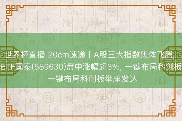世界杯直播 20cm速递丨A股三大指数集体飞腾, 科创综指ETF国泰(589630)盘中涨幅超3%, 一键布局科创板举座发达